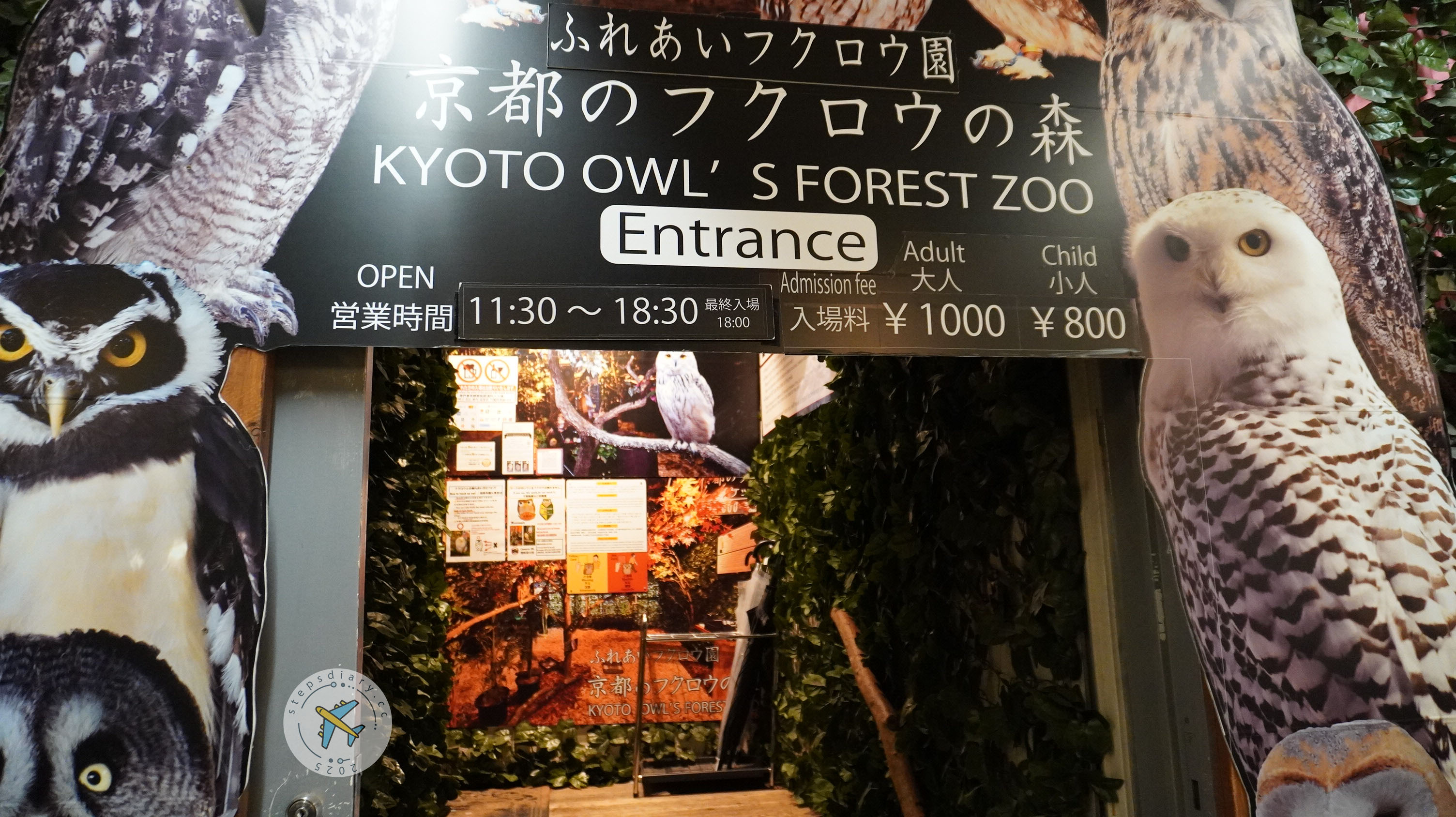 貓頭鷹之森