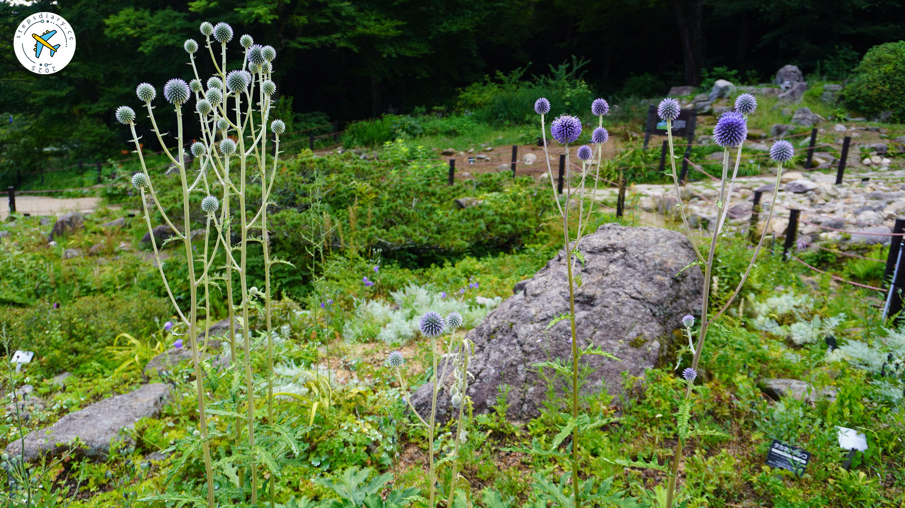 六甲高山植物園