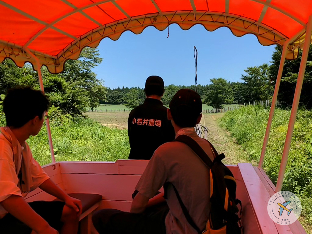 小岩井農場